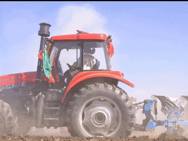 6.gif 6.gif