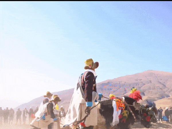 5.gif 5.gif